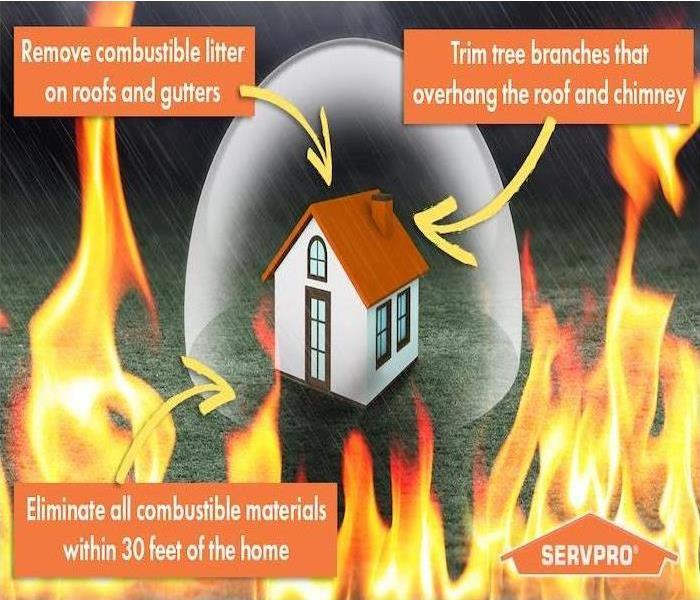 fire infographic 