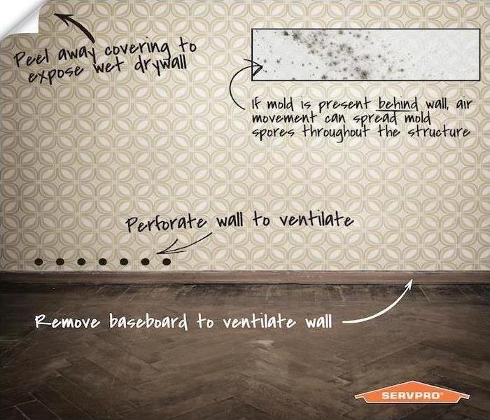 info graphic about water damage to wall papered room